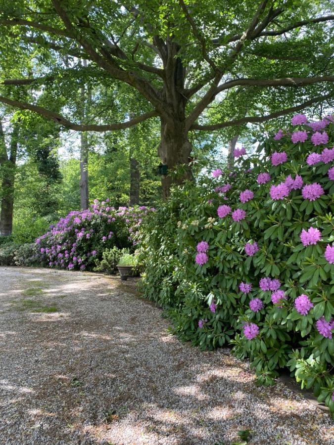 Bed And Breakfast Villa Beldershoek Hengelo  Bagian luar foto